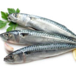 Pesce Azzurro del Mediterraneo